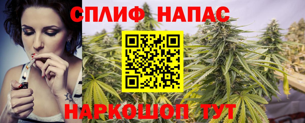 Бошки Шишки планчик  Бошки Шишки OG Kush  Канабис марихуана  Вход с VPN  Пенза 